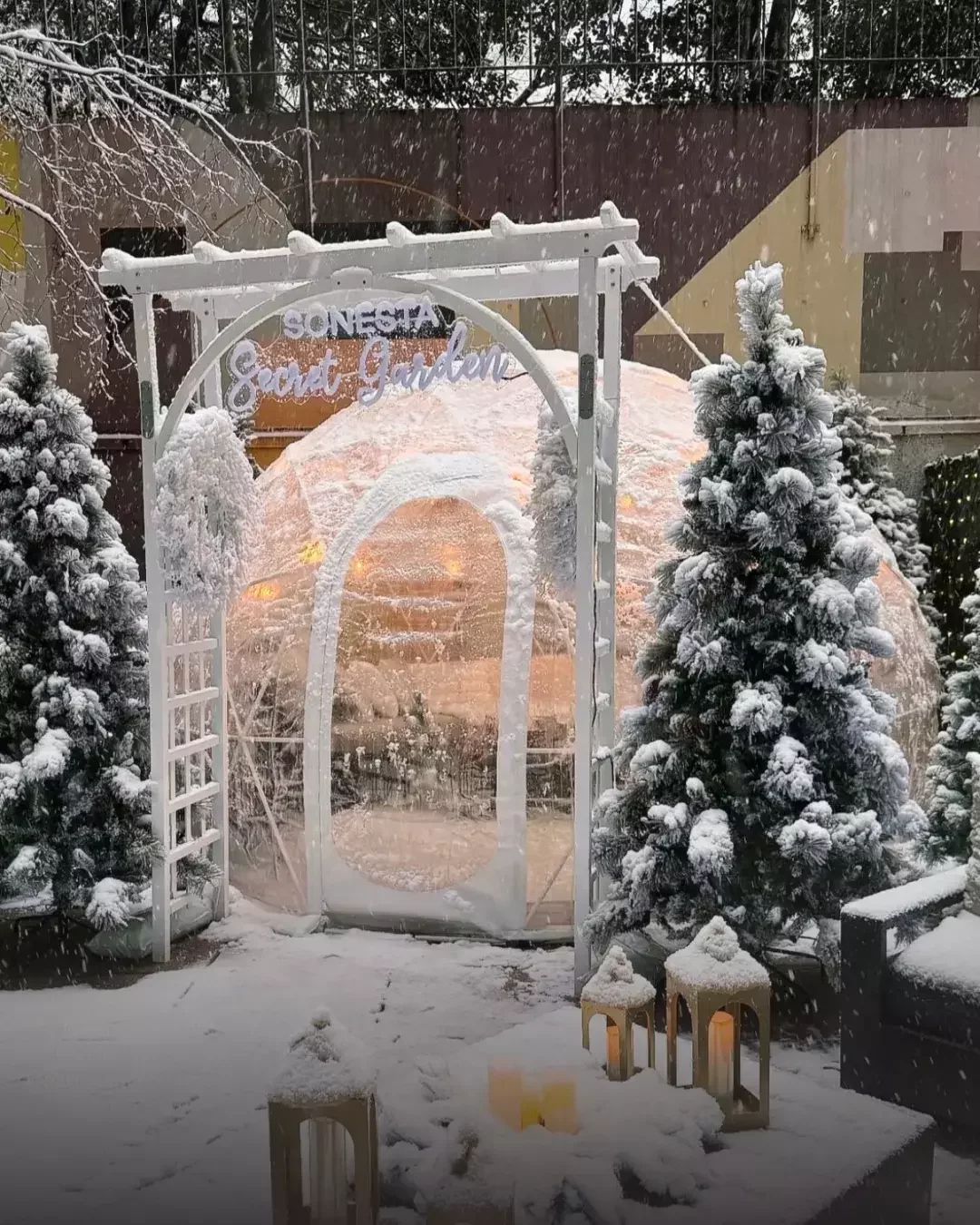 NYC Hotel Terrace Igloo Rental